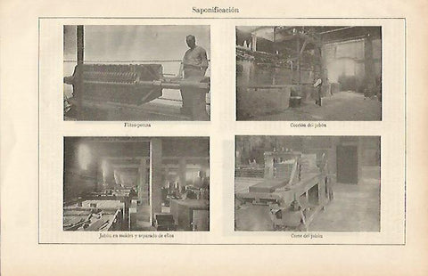 LAMINA ESPASA 19521: Saponificacion