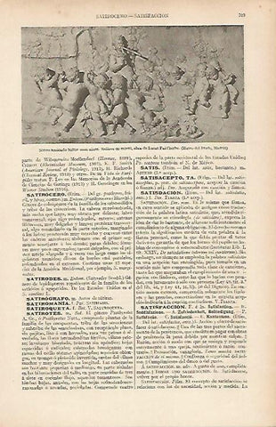 LAMINA ESPASA 19572: Relieve de Lucas Faid herbe