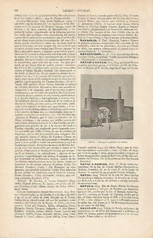 LAMINA ESPASA 19584: Muralla de Savah Iran