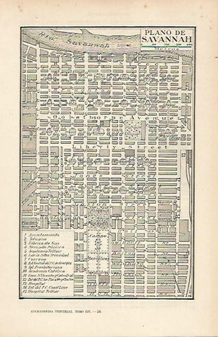 LAMINA ESPASA 19587: Plano de Savannah Estados Unidos