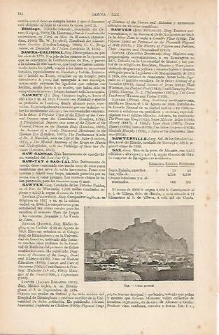 LAMINA ESPASA 19590: Vista de Sax Alicante