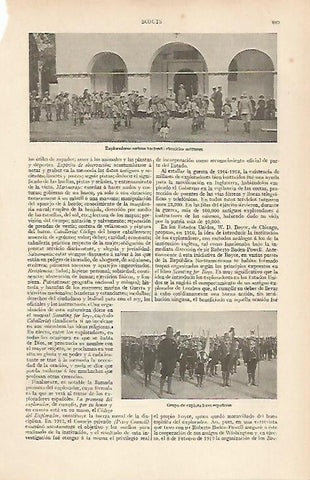 LAMINA ESPASA 19602: Exploradores de Serbia