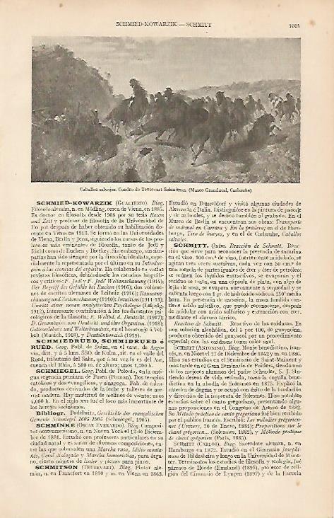 LAMINA ESPASA 19625: Caballos salvajes por Schmitson