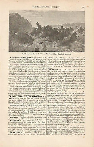 LAMINA ESPASA 19625: Caballos salvajes por Schmitson