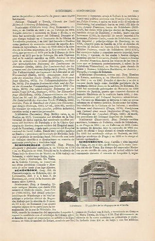 LAMINA ESPASA 19627: Pabellon de los Papagayos en el Palacio de Schonbrunn