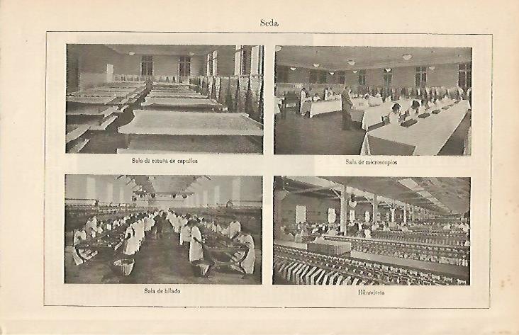 LAMINA ESPASA 19656: Fabrica de seda