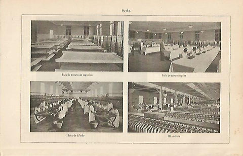 LAMINA ESPASA 19656: Fabrica de seda