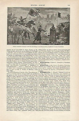 LAMINA ESPASA 19751: Cuadro de German Knackfuss