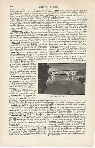 LAMINA ESPASA 19768: Puente ferroviario en Koria Finlandia