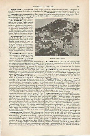 LAMINA ESPASA 19774:Vista de Lagosta