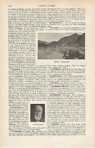 LAMINA ESPASA 19785: Vista de Laveno Italia