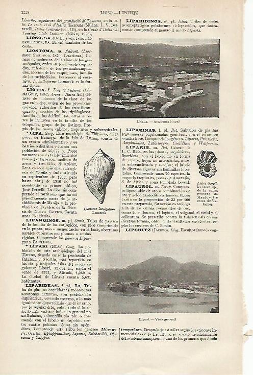 LAMINA ESPASA 19800: Academia Naval de Liorna Italia
