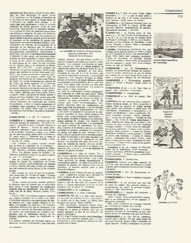 LAMINA LAROUSSE 70173: Comic de Superman y Batman