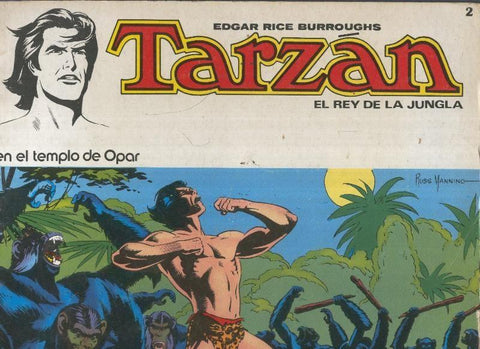 Tarzan numero 02: En el templo de Opar