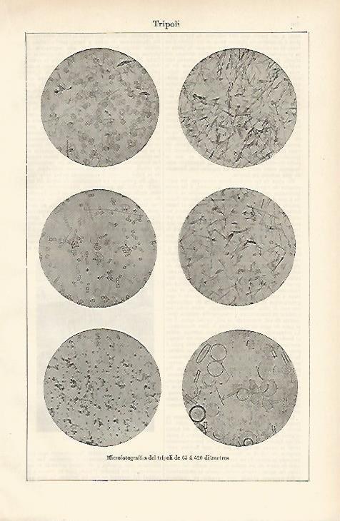 LAMINA ESPASA 882: Microfotografias de tripoli