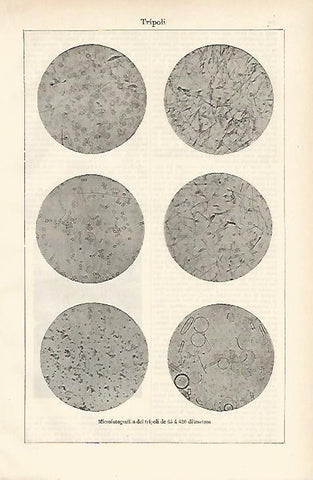 LAMINA ESPASA 882: Microfotografias de tripoli