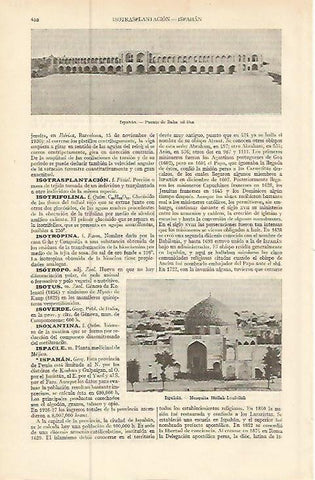LAMINA ESPASA 9225: Puente de Baha ed-Din y Mezquita Mollah-Lozfollah en Ispahan (Iran)