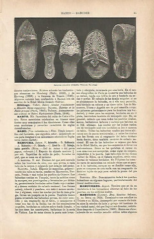 LAMINA ESPASA 9650: Babuchas