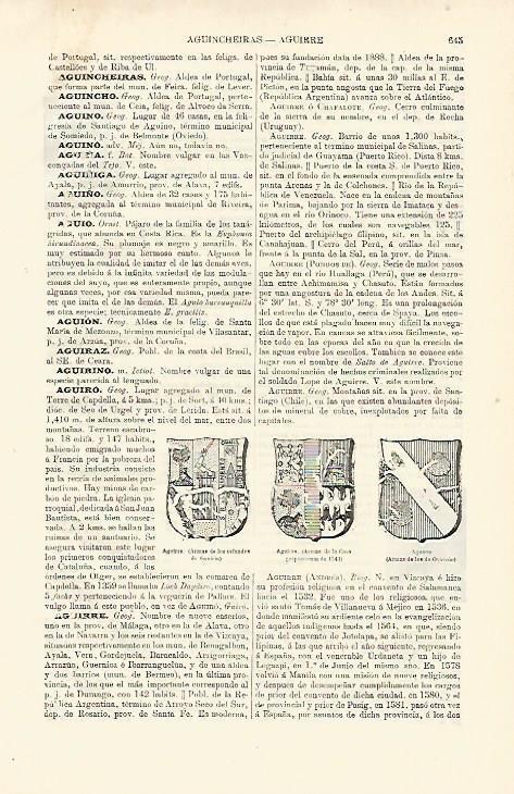 LAMINA ESPASA 12676: Armas de la casa de Aguirre