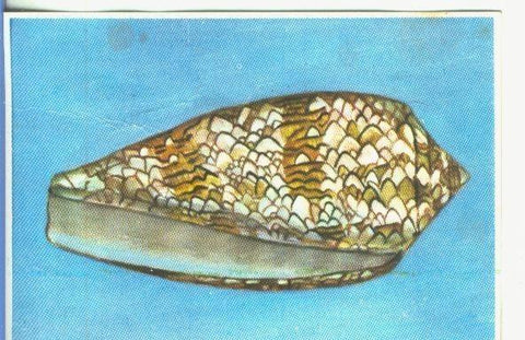 Cromos: Historia Natural numero 152
