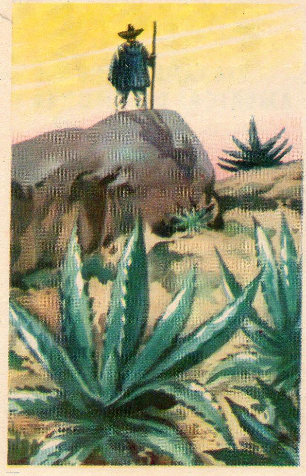 CROMO Viajando por America del Norte:  Numero 234