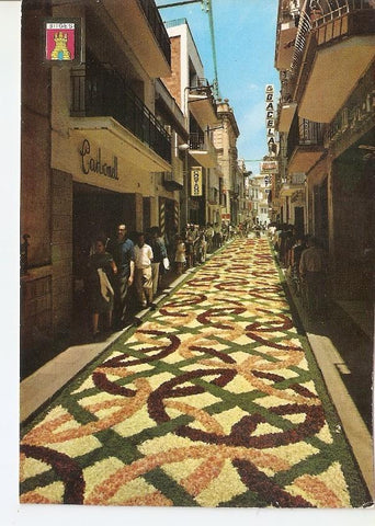 Postal 038924 : Sitges. Festividad de Corpus Christi. Calle alfombrada con flores