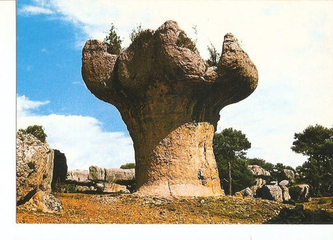 Postal 028665 : El Frutero, Cuenca