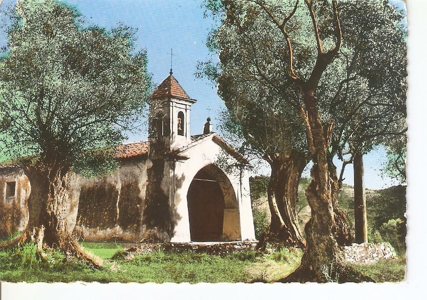 Postal 033988 : Provence. Chapelle les Oliviers