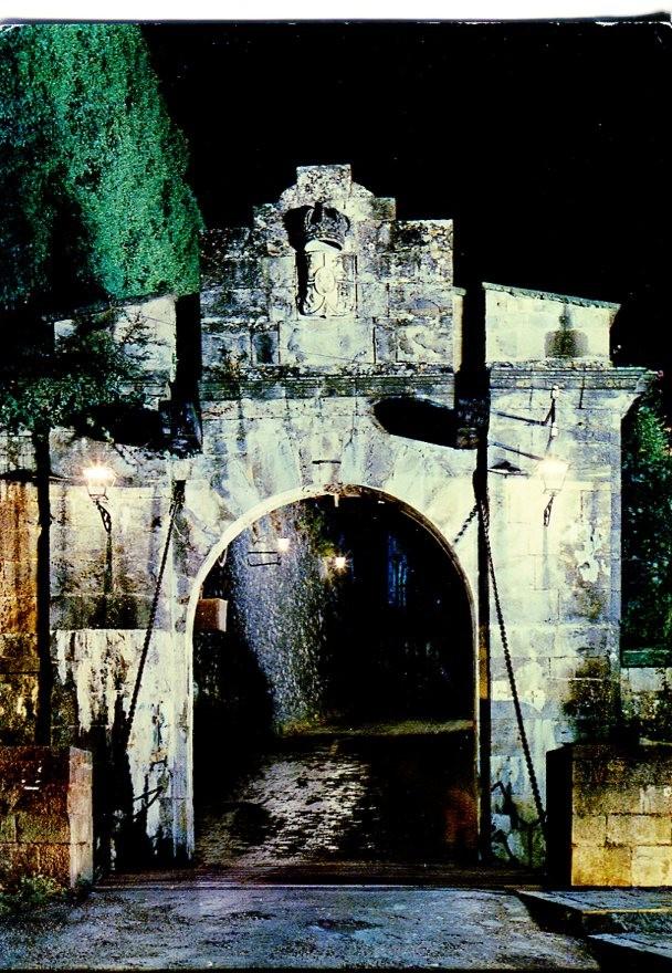 Postal 016566: PAMPLONA - Vista nocturna del Portal de Francia