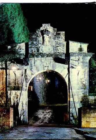 Postal 016566: PAMPLONA - Vista nocturna del Portal de Francia