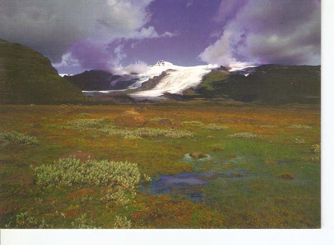 Postal 043133 : Glaciers in Oraefi