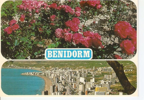 Postal 045846 : Benidorm (España). Rosas. Plaza de la Hispanidad