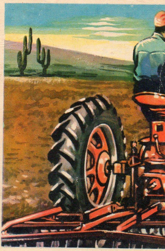 CROMO Viajando por America del Norte:  Numero 181