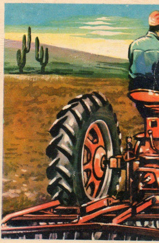 CROMO Viajando por America del Norte:  Numero 181