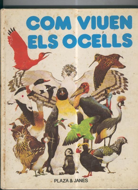 Com viuen els ocells