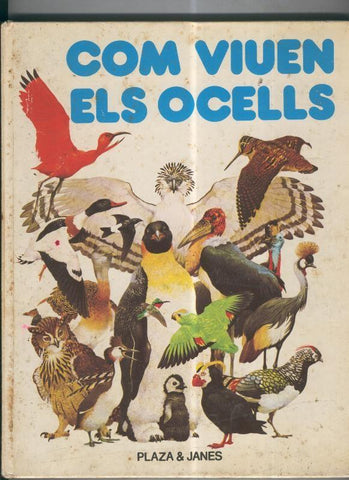 Com viuen els ocells