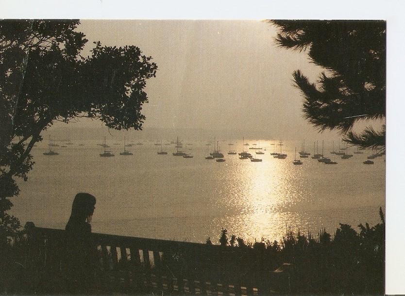 Postal 032942 : The Harbour Poole Dorset viewed from Evening Hill