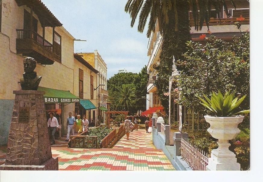 Postal 033257 : Puerto de la Cruz (Tenerife). Rincon tipico