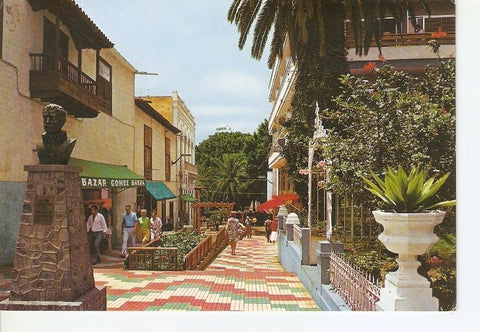 Postal 033257 : Puerto de la Cruz (Tenerife). Rincon tipico