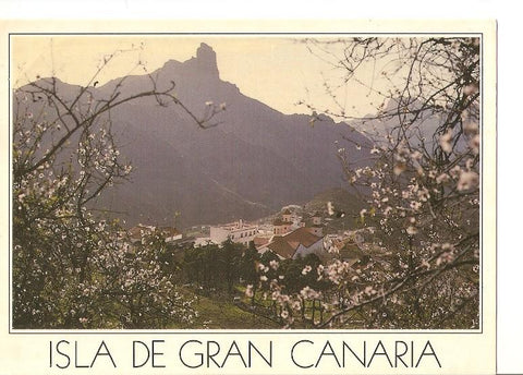 Postal 049244 : Isla de Gran Canaria