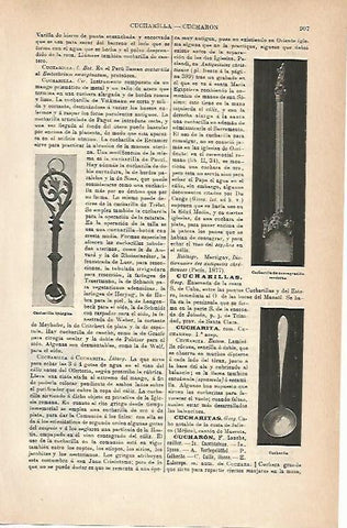 LAMINA ESPASA 14316: Cucharillas liturgicas