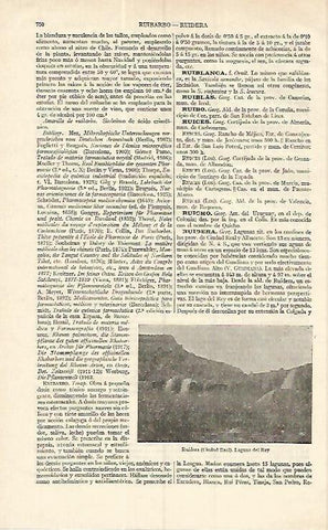 LAMINA ESPASA 17035: Laguna del Rey en Ruidera Ciudad Real