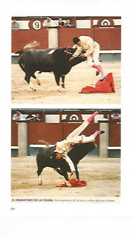 LAMINA COSSIO 50720: Cogida 
