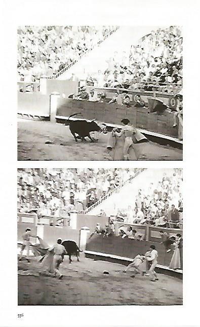 LAMINA COSSIO 50728: Cogida de El Coli en 1964