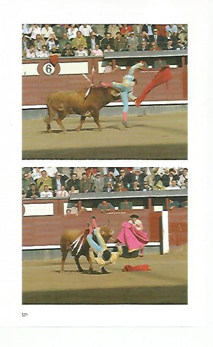 LAMINA COSSIO 50732: Cogida de Miguel Abellan