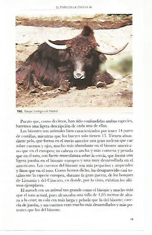 LAMINA COSSIO 50768: Yak
