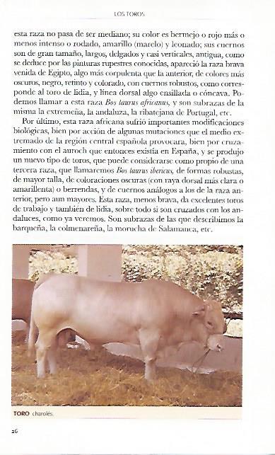 LAMINA COSSIO 50769: Toto charoles