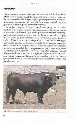 LAMINA COSSIO 50770: Toro del Conde de la Corte