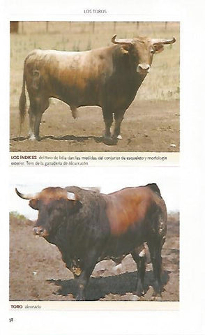 LAMINA COSSIO 50773: Toro de la ganaderia de Alcurrucen