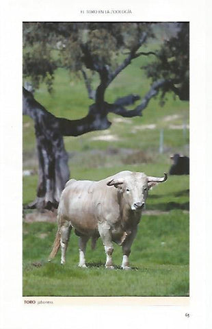 LAMINA COSSIO 50776: Toro jabonero